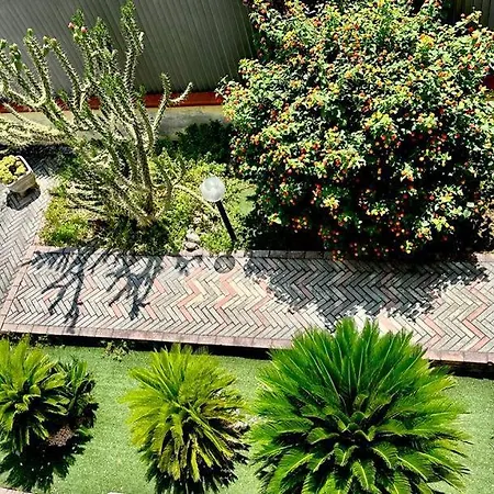 Cloe Guest house 3*